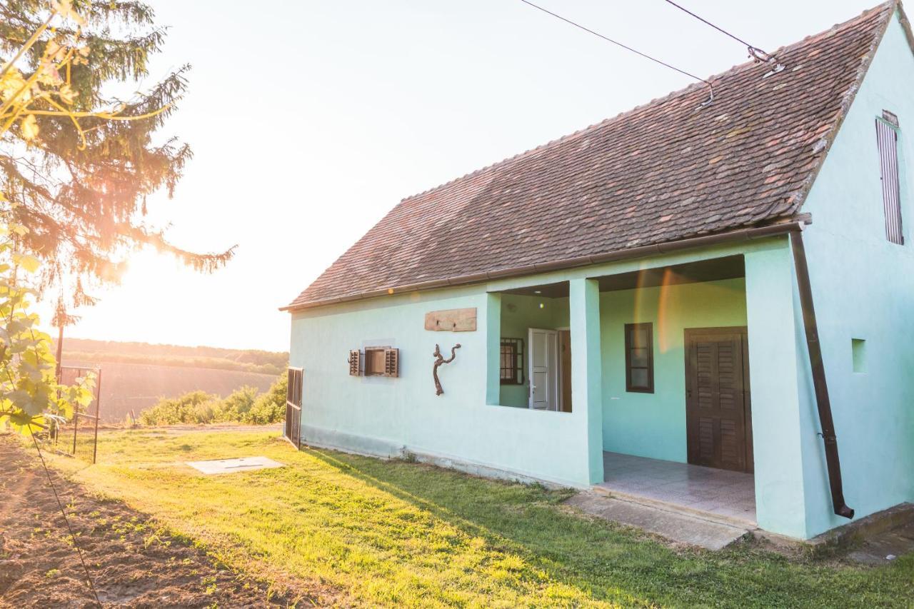Village Wine House Mandicevac Exterior foto