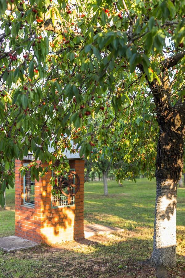 Village Wine House Mandicevac Exterior foto