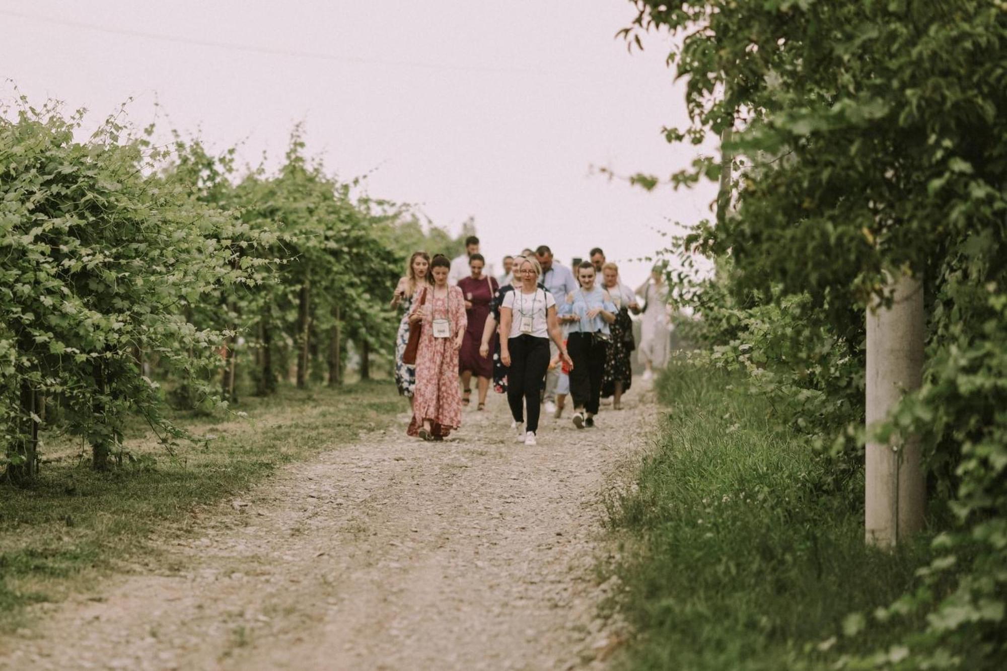 Village Wine House Mandicevac Exterior foto